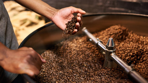 Best Commercial Coffee Roaster: Buyer's Guide